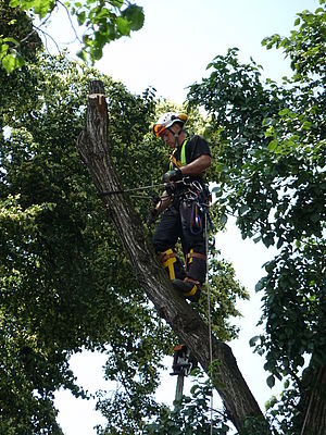 Originál (R), F4.9; 1/160 s; ISO: 80, Ohnisková vzdálenost (EQ35mm): 300 mm 