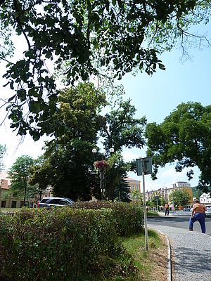 Originál (R), F4.0; 1/400 s; ISO: 80, Ohnisková vzdálenost (EQ35mm): 25 mm 