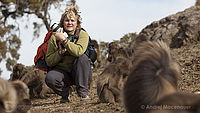 Fotografování dželad II | (c) Andrej Macenauer Fotografování dželad II
