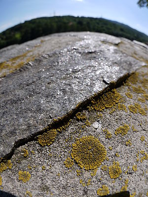 Objektiv Lumix G Fisheye 8 mm, clonové číslo f/8.0; čas 1/500 s; ISO: 100, ohnisková vzdálenost (ekv | (c) Petr Koritina Objektiv Lumix G Fisheye 8 mm, clonové číslo f/8.0; čas 1/500 s; ISO: 100, ohnisková vzdálenost (ekv