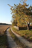Obrázek č. 18 - EOS 60D + EF-S 17-85mm f/3,5-5,6 IS USM, citlivost ISO 800, čas 1/200s a clona f/16 