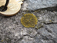 Canon PowerShot S95, F4.0; 1/250 s; ISO: 80, Ohnisková vzdálenost: 8.56 mm | Petr Koritina Canon PowerShot S95, F4.0; 1/250 s; ISO: 80, Ohnisková vzdálenost: 8.56 mm