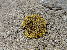 Panasonic DMC-LX5, F4.0; 1/800 s; ISO: 80, Ohnisková vzdálenost: 5.10 mm | Petr Koritina Panasonic DMC-LX5, F4.0; 1/800 s; ISO: 80, Ohnisková vzdálenost: 5.10 mm