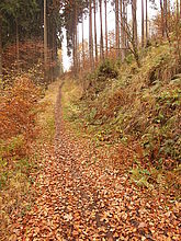 WB zataženo, Samsung EX1 , F2.5; 1/30 s; ISO: 100, Ohnisková vzdálenost: 5.20 mm | Petr Koritina WB zataženo, Samsung EX1 , F2.5; 1/30 s; ISO: 100, Ohnisková vzdálenost: 5.20 mm