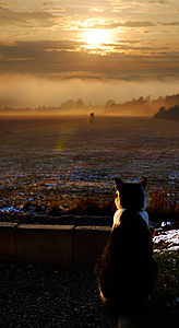 Dnes | (c) Miroslav Zelenka Dnes