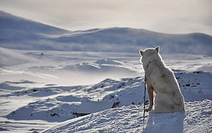 Kdo je tady pánem | (c) Pavel Svoboda Kdo je tady pánem