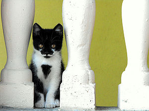 (c) Veronika Ušalová