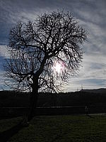 Náhled, F6.3; 1/1912 s; ISO: 100, Ohnisková vzdálenost (EQ35mm): 28 mm 