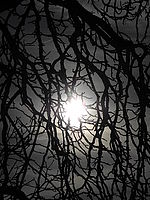 Náhled, F7.1; 1/1531 s; ISO: 100, Ohnisková vzdálenost (EQ35mm): 200 mm 