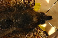 Výřez (R), F5.6; 1/200 s; ISO: 100, Ohnisková vzdálenost (EQ35mm): 200 mm 