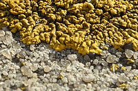 Výřez (R), F8.0; 1/134 s; ISO: 100, Ohnisková vzdálenost (EQ35mm): 41 mm 