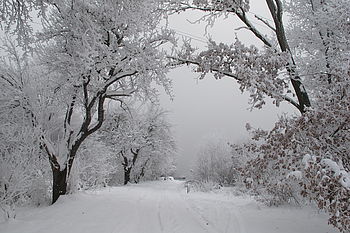 Originál (R), F5.6; 1/100 s; ISO: 80, Ohnisková vzdálenost (EQ35mm): 28 mm 