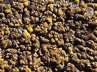 Výřez (R), F3.2; 1/500 s; ISO: 100, ohnisko 28 mm (35mm ekv.)