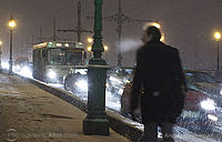 Trojický most, Sankt Peterburg