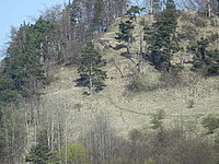 Náhled, 1/640 s, F5.7, ISO: 160, Ohnisková vzdálenost (EQ35mm): 810 mm 