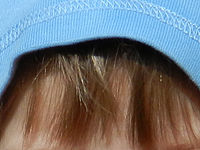 Výřez (R), 1/640 s, F5.1, ISO: 160, Ohnisková vzdálenost (EQ35mm): 145 mm 