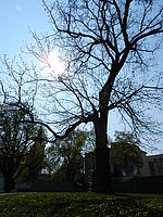 Náhled, 1/800 s, F8.0, ISO: 160, Ohnisková vzdálenost (EQ35mm): 23 mm 