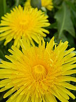 Náhled, 1/250 s, F4.7, ISO: 160, Ohnisková vzdálenost (EQ35mm): 68 mm 