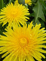 Náhled, 1/60 s, F8.0, ISO: 160, Ohnisková vzdálenost (EQ35mm): 68 mm 