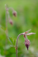 Náhled, F2.0; 1/350 s; ISO: 200 | (c) Petr Koriitna Náhled, F2.0; 1/350 s; ISO: 200