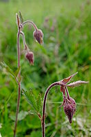 Náhled, F8.0; 1/30 s; ISO: 200 | (c) Petr Koriitna Náhled, F8.0; 1/30 s; ISO: 200