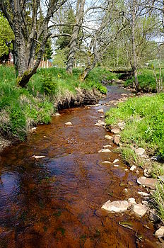 Originál (R), F8.0; 1/160 s; ISO: 200 