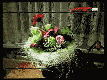 LCD v režimu snímání