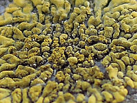 Výřez (R), F2.1; 1/500 s; ISO: 160, ohnisko 31 mm (35mm ekv.)