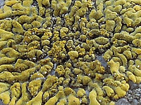 Výřez (R), F7.5; 1/50 s; ISO: 160, ohnisko 31 mm (35mm ekv.)