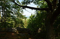 Obrázek č. 17 - Nikon D5100 + AF-S DX 16-85mm f/3,5-5,6 VR, čas 1/250s, clona f/11, ISO 400