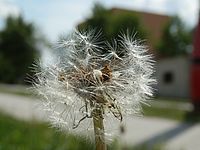Krátká vzdálenost "Makro"