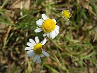 Krátká vzdálenost "Makro"