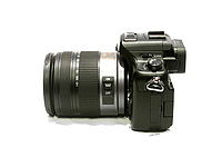 Levá strana | (c) Petr Koritina Levá strana