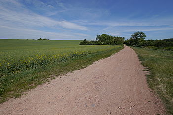 Originál (R), F9.0; 1/640 s; ISO: 160, Ohnisková vzdálenost (EQ35mm): 14 mm; 7 - 14 mm