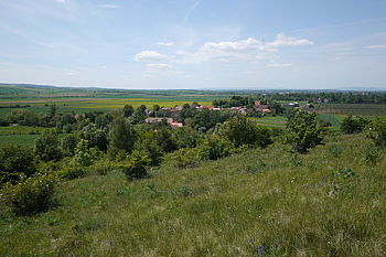 Originál (R), F8.0; 1/400 s; ISO: 160, Ohnisková vzdálenost (EQ35mm): 28 mm; 7 - 14 mm