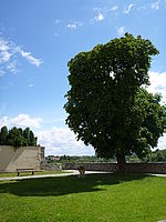 Model: DMC-FT3, Náhled