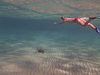 Model: DMC-FT3, Náhled