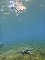 Model: DMC-FT3, Náhled