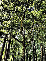 Využití efektu HDR | Jiří Beneš Využití efektu HDR