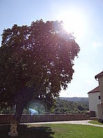 Náhled, DSC-HX100V F2.8; 1/320 s; ISO: 100, Ohnisková vzdálenost: 4.80 mm | (c) Petr Koritina Náhled, DSC-HX100V F2.8; 1/320 s; ISO: 100, Ohnisková vzdálenost: 4.80 mm