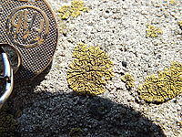 Náhled, FinePix HS20EXRF3.6; 1/450 s; ISO: 100, Ohnisková vzdálenost: 7.60 mm | (c) Petr Koritina Náhled, FinePix HS20EXRF3.6; 1/450 s; ISO: 100, Ohnisková vzdálenost: 7.60 mm