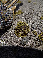 Náhled, DSC-HX100V F2.8; 1/320 s; ISO: 100, Ohnisková vzdálenost: 4.80 mm | (c) Petr Koritina Náhled, DSC-HX100V F2.8; 1/320 s; ISO: 100, Ohnisková vzdálenost: 4.80 mm