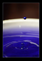 Výřez, doostřeno, případně upraveno