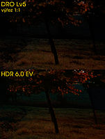 DRO Lv5 a HDR 6EV – výřez 1:1