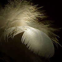 Lehkost bytí | (c) Jitka Matyášová Lehkost bytí