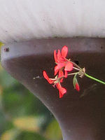 Výřez (R), F5.8; 1/125 s; ISO: 800,Ohnisková vzdálenost: 150.50 mm 