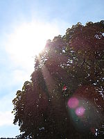 Náhled, F4.0; 1/1000 s; ISO: 100,Ohnisková vzdálenost: 7.74 mm 