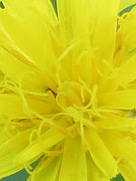 Výřez (R), F5.8; 1/200 s; ISO: 250,Ohnisková vzdálenost: 150.50 mm 