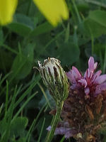 Výřez (R), F4.0; 1/200 s; ISO: 100,Ohnisková vzdálenost: 5.85 mm 