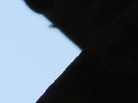 Výřez (R), F5.8; 1/640 s; ISO: 100,Ohnisková vzdálenost: 150.50 mm 